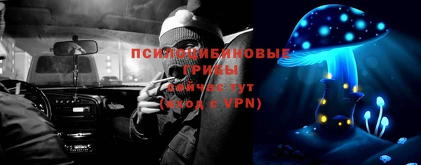 шишки Балабаново