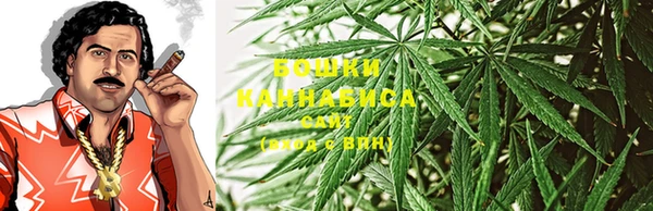 шишки Балабаново