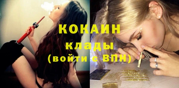 шишки Балабаново