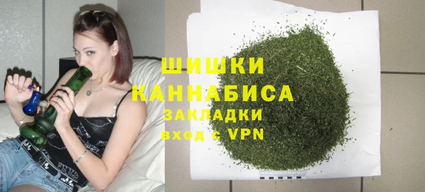 шишки Балабаново