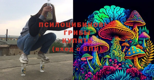 СК Балахна